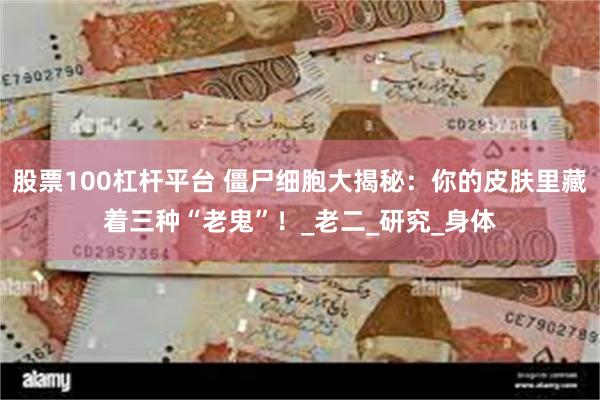 股票100杠杆平台 僵尸细胞大揭秘：你的皮肤里藏着三种“老鬼”！_老二_研究_身体