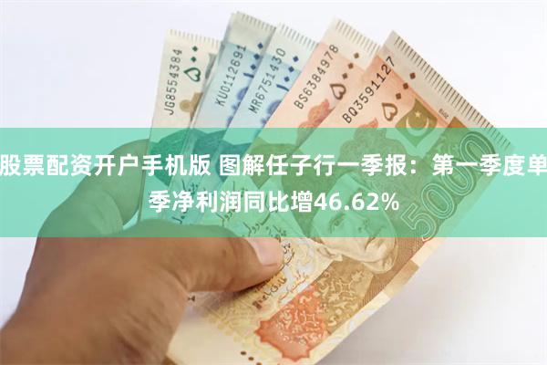 股票配资开户手机版 图解任子行一季报：第一季度单季净利润同比增46.62%