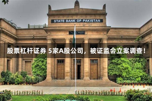 股票杠杆证券 5家A股公司，被证监会立案调查！