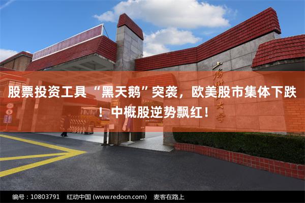 股票投资工具 “黑天鹅”突袭，欧美股市集体下跌！中概股逆势飘红！