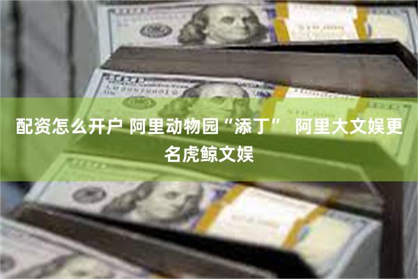 配资怎么开户 阿里动物园“添丁”  阿里大文娱更名虎鲸文娱