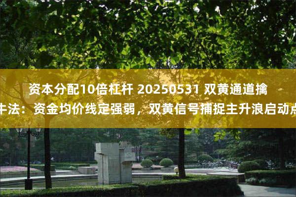资本分配10倍杠杆 20250531 双黄通道擒牛法：资金均价线定强弱，双黄信号捕捉主升浪启动点