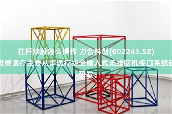 杠杆炒股怎么操作 力合科创(002243.SZ)：微灵医疗主要从事医疗级全植入式无线脑机接口系统研发