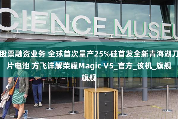 股票融资业务 全球首次量产25%硅首发全新青海湖刀片电池 方飞详解荣耀Magic V5_官方_该机_旗舰