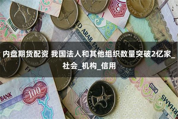内盘期货配资 我国法人和其他组织数量突破2亿家_社会_机构_信用