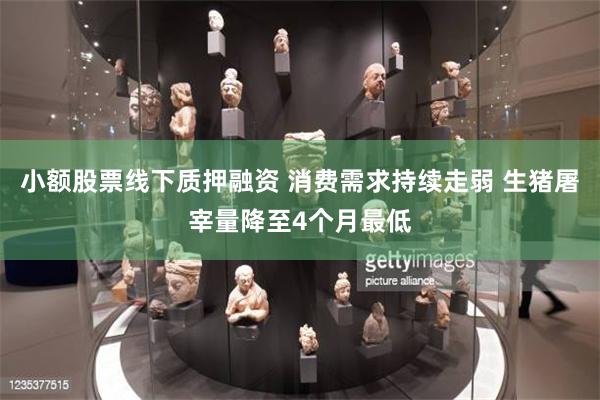 小额股票线下质押融资 消费需求持续走弱 生猪屠宰量降至4个月最低