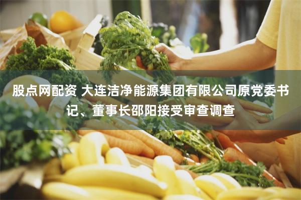 股点网配资 大连洁净能源集团有限公司原党委书记、董事长邵阳接受审查调查