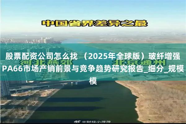 股票配资公司怎么找 （2025年全球版）玻纤增强PA66市场产销前景与竞争趋势研究报告_细分_规模