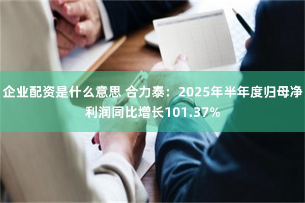 企业配资是什么意思 合力泰：2025年半年度归母净利润同比增长101.37%