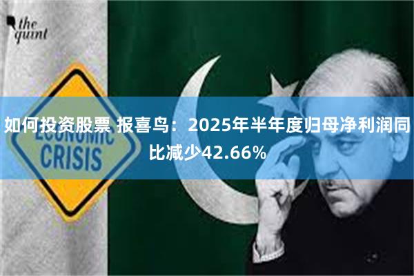 如何投资股票 报喜鸟：2025年半年度归母净利润同比减少42.66%