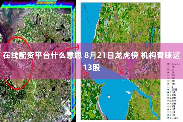 在线配资平台什么意思 8月21日龙虎榜 机构青睐这13股