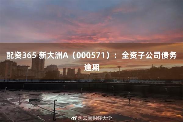 配资365 新大洲A(000571):全资子公司债务逾期