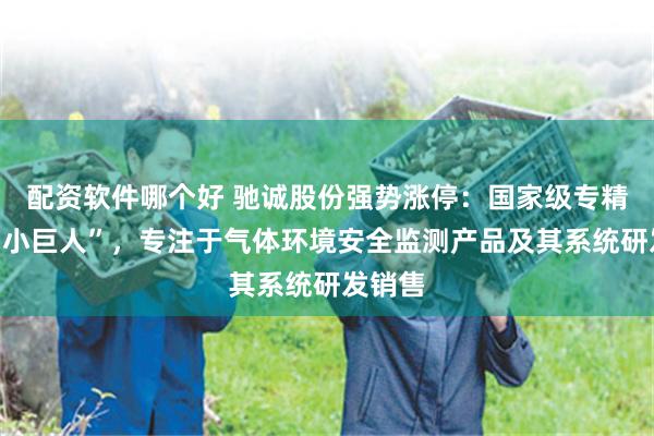 配资软件哪个好 驰诚股份强势涨停:国家级专精特新“小巨人”,专注于气体环境安全监测产品及其系统研发销售