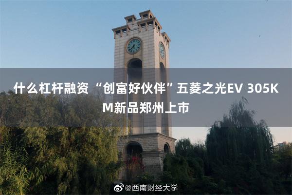 什么杠杆融资 “创富好伙伴”五菱之光EV 305KM新品郑州上市