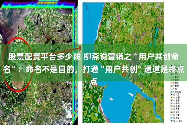 股票配资平台多少钱 柳燕说营销之“用户共创命名”：命名不是目的，打通“用户共创”通道是终点