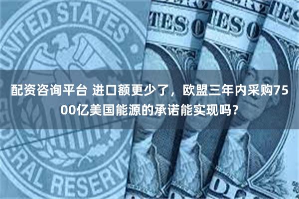 配资咨询平台 进口额更少了，欧盟三年内采购7500亿美国能源的承诺能实现吗？